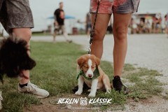BERLIN-KLASSIK-2022-@vrawrrr6_adi-81