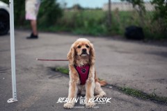 BERLIN-KLASSIK-2023-@vrawrrr6_adi-29