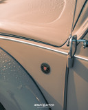 Sat-Show-and-Shine-A-15