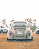 Sat-Show-and-Shine-A-17