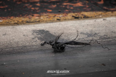 BERLIN-KLASSIK-2021-@scottyvr-685