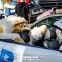 Berlin Klassik 2016