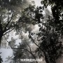 Berlin_Klassik-2017-484