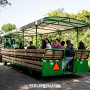 Berlin_Klassik-2017-959