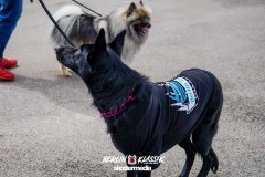 Berlin Klassik 2018