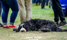 Berlin Klassik 2018