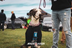BERLIN-KLASSIK-2018-Adi-61